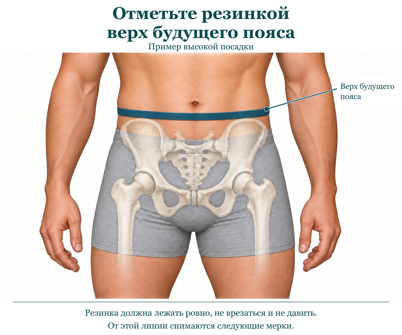 Резинка отмечает верх будущего пояса; полупрозрачный таз показан как вспомогательный ориентир